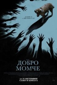 Добро момче