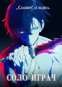 Соло играч