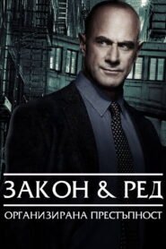 Закон и ред: Организирана престъпност