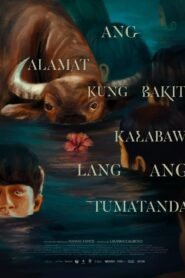 Ang Alamat Kung Bakit Kalabaw Lang Ang Tumatanda