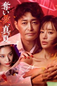 奪い愛、真夏