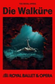 RB&O 2024/25: Die Walküre