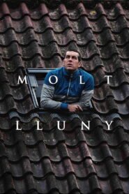 Molt lluny